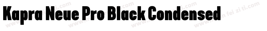 Kapra Neue Pro Black Condensed Roun字体转换